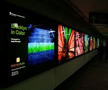 color in